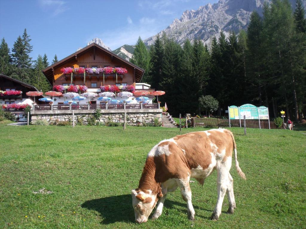 Gasthof Edelbrunn Hotel Ramsau am Dachstein Exterior photo